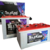 Teleking TKB22000 Inverter Tall Tubular Battery